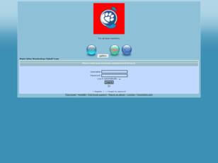 Water Orton Wonderdogs Flyball Team